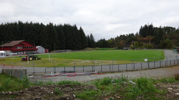 Alvøen gress - Godvik