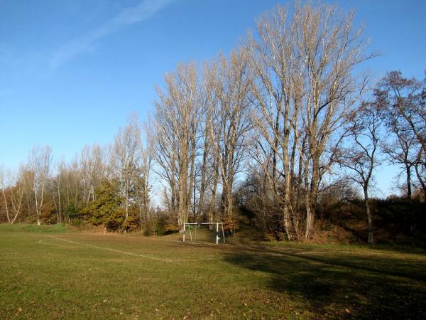 Sportplatz Bornitz - Elsteraue-Bornitz