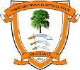 Wappen Ashford Town FC  7272