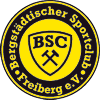 Wappen Bergstädtischer SC Freiberg 95 diverse