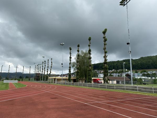 Sportanlage Im Moos - Affoltern am Albis