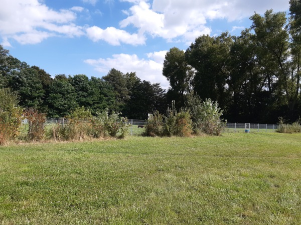 Sportplatz Tannenhofweg - Düsseldorf-Tannenhof