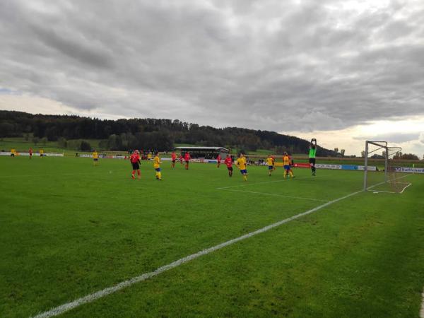 Sportplatz Schweinhauser Straße - Ummendorf bei Biberach