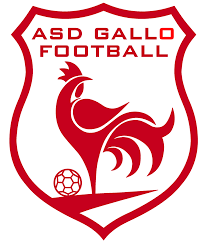 Wappen ASD Gallo Football 