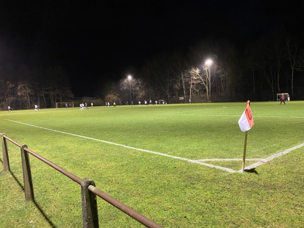 Sportanlage Bürgerkampweg B-Platz - Delmenhorst