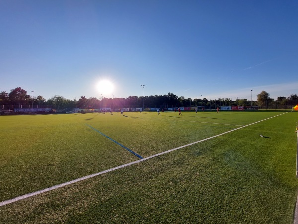 Sportanlage In den Widen Kunstrasenplatz - Arlesheim