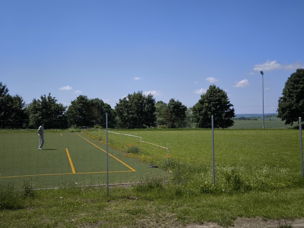 Sportanlage Eisleber Straße Platz 2 - Allstedt-Emseloh