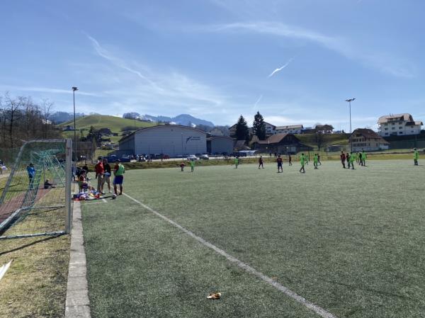 Sportplatz Farbschachen Kunstrasenplatz - Entlebuch