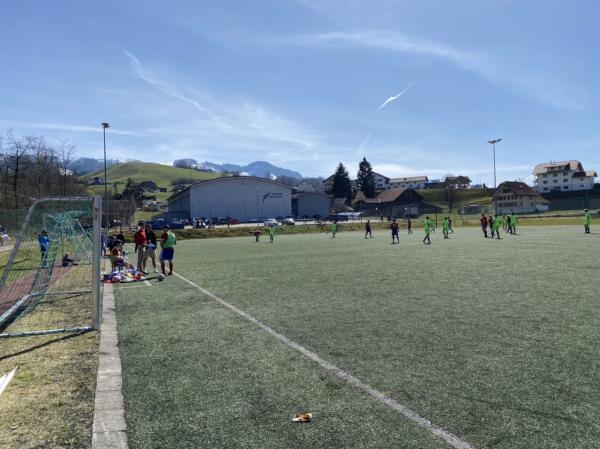 Sportplatz Farbschachen Kunstrasenplatz - Entlebuch