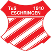 Wappen TuS 1910 Eschringen  37090