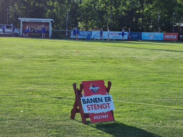 Bjerke stadion gress - Maura
