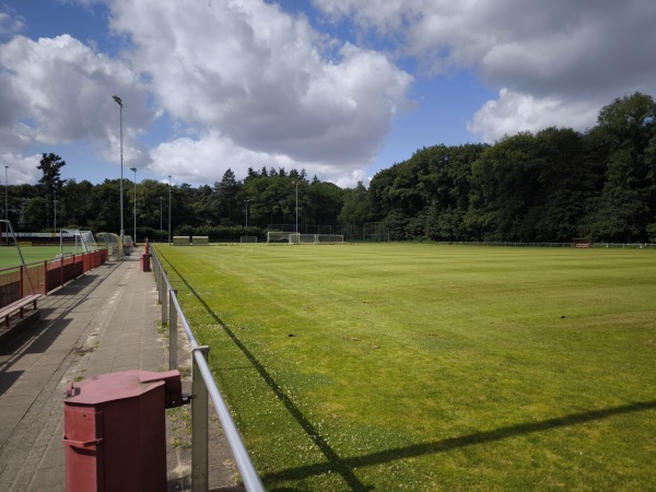 Sportpark Bospad veld 2 - Wijchen