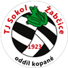 Wappen TJ Sokol Žabčice  114482