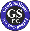 Wappen Groß Salitzer FC 2006  53687