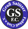 Wappen Groß Salitzer FC 2006