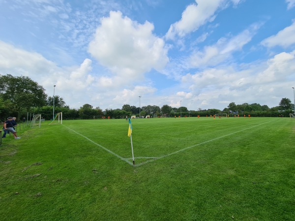 Sportpark De Bosk veld 6-HO - Achtkarspelen-Harkema