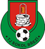 Wappen TJ Sokol Březí  137513