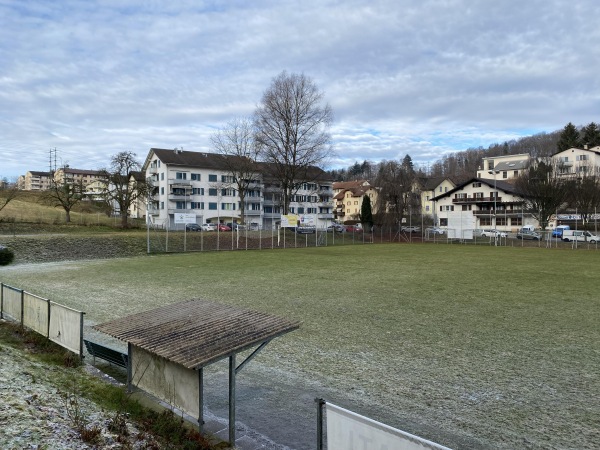 Sportplatz Grenzhof - Luzern