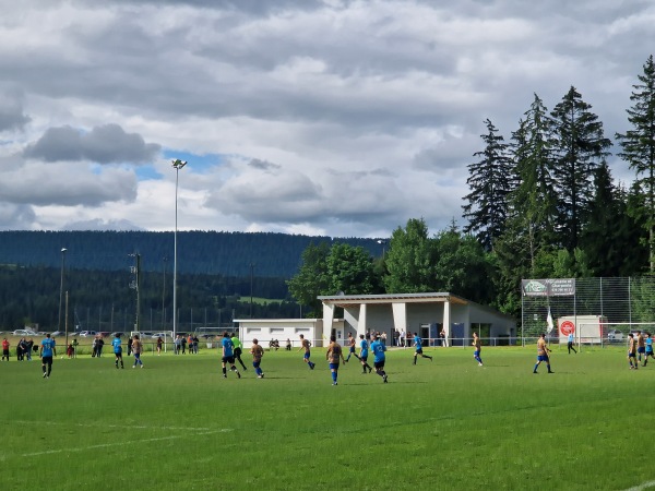 Terrain Sous-le-Mont - Dombresson