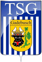 Wappen TSG Gadebusch 1964  10772