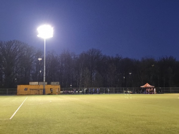 Paramount Fine Foods Centre Field 2 - Mississauga, ON