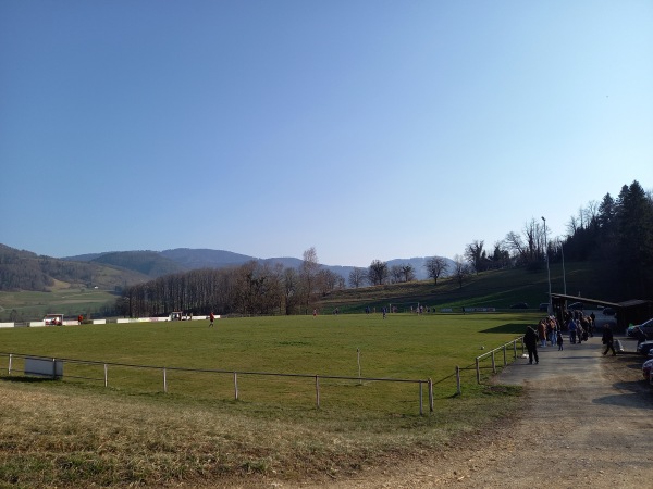 Terrain du Vert-Bois - Montsevelier