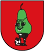 Wappen ehemals FSV Plein 1982