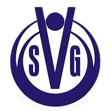 Wappen SG Voltlage 1919 diverse