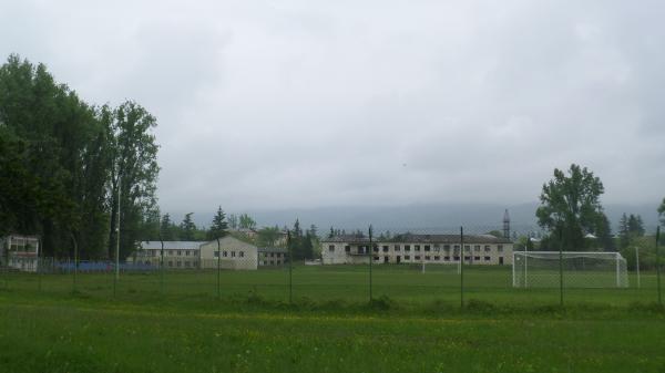 Stadioni Boris Paichadze - Chokhatauri