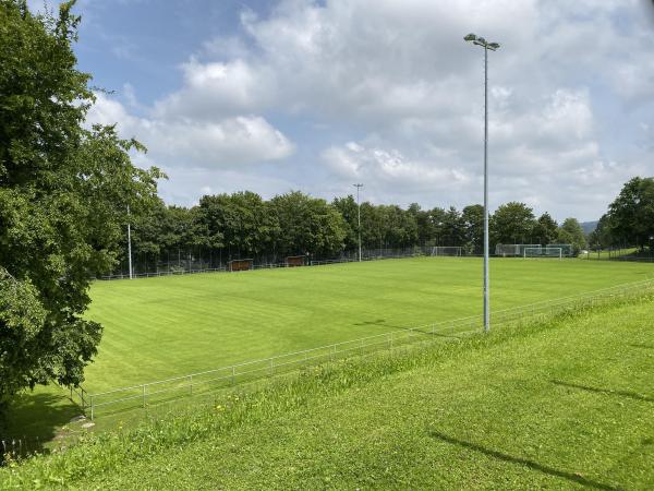 Stade du Guintzet terrain 2 - Fribourg