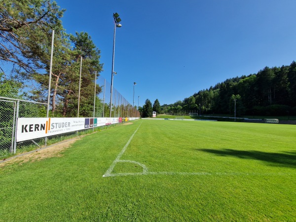 Sportanlage Waldegg Platz B - Horgen