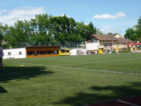 Waldstadion - Budenheim