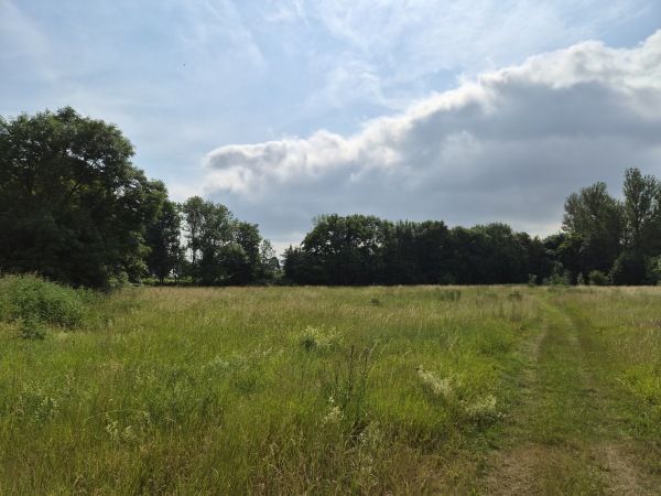 Sportanlage Holzhäuser Straße Platz 5 - Leipzig-Stötteritz