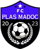 Wappen FC Plas Madoc