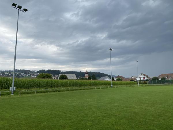 Sportplatz Inseli Platz B - Niedergösgen
