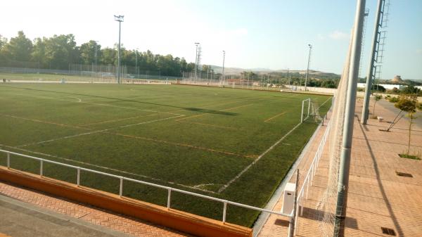 Complejo Deportivo La Menacha Campo 1 - Algeciras