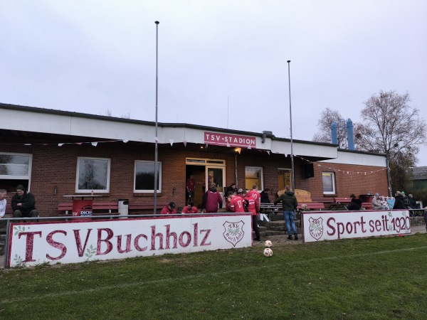 Sondergerüstbau-Engels-Arena - Buchholz/Dithmarschen