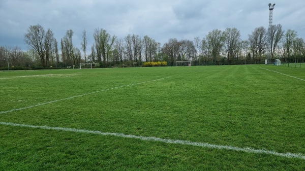 Essevee Academie Terrein 5 - Waregem
