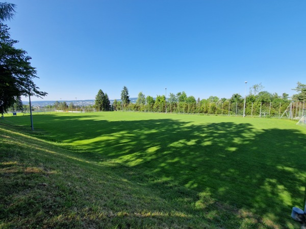 Sportanlage Waldegg Platz C - Horgen