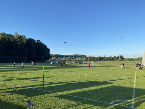 Sportanlage Rolli Platz 3 - Seuzach
