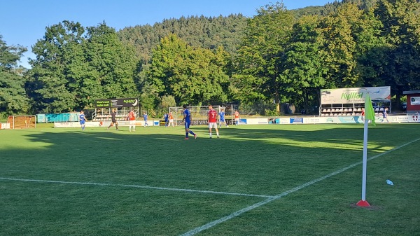Sportplatz an der Mosel - Trier-Pfalzel