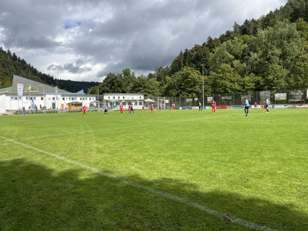 Sportplatz am Polarion - Bad Liebenzell