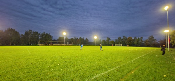 Stadion Wiejski w Paszowicach - Paszowice