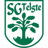 Wappen SG Telgte 1919