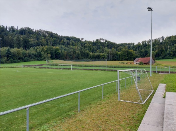 Sportplatz Arlets Platz 2 - Rikon