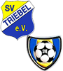 Wappen SpG Triebel/Eichigt (Ground B)