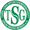 Wappen TSG Grün-Weiß Möser 1971  58379