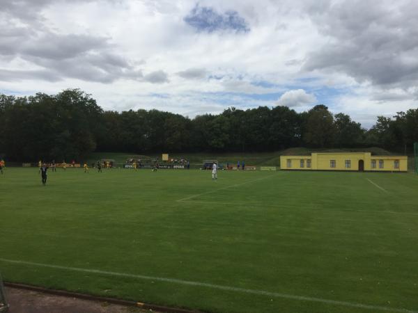 Sportanlage Zielitzer Straße - Magdeburg-Neue Neustadt