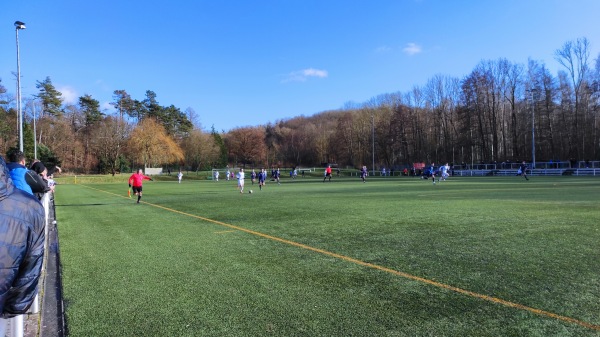 Albert-Kuntz-Sportpark Platz 4 - Nordhausen