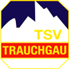 Wappen TSV Trauchgau 1928 diverse  82351